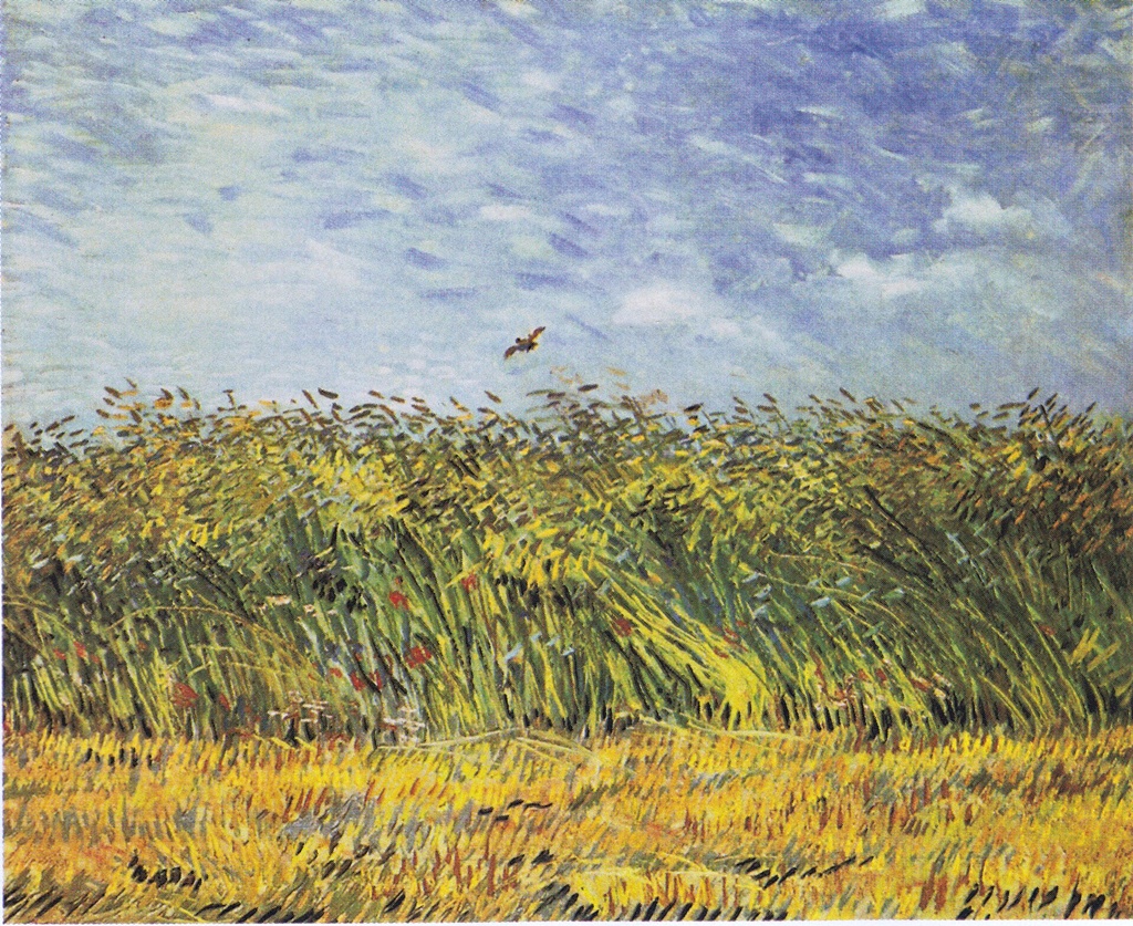 Getreidefeld mit Mohnblumen und Lerche